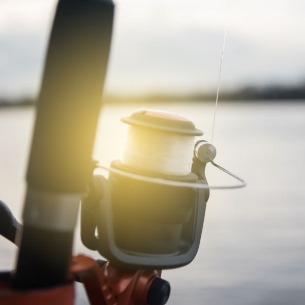 Fishing Reels