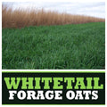 Real World Forage Oats 50 Pound 1 Acre Bag
