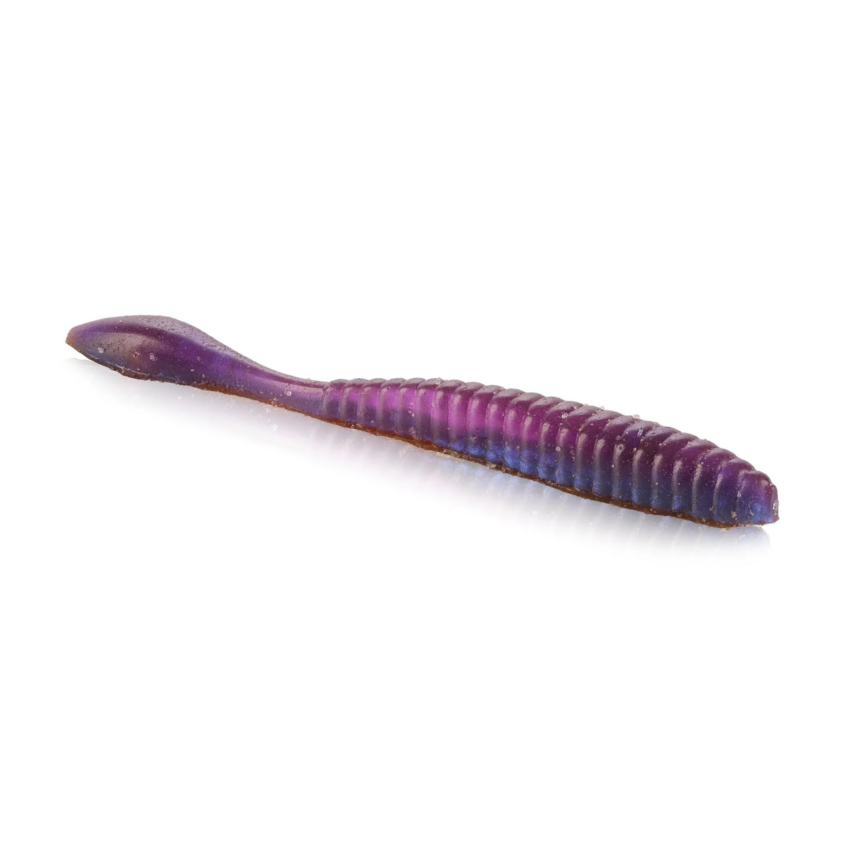 Lab Series Flat Worm