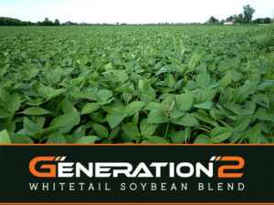 Real World Generation 2 Soy Beans 50 Pound Bag (1 Acre)