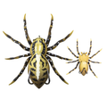 Lunkerhunt Phantom Spider