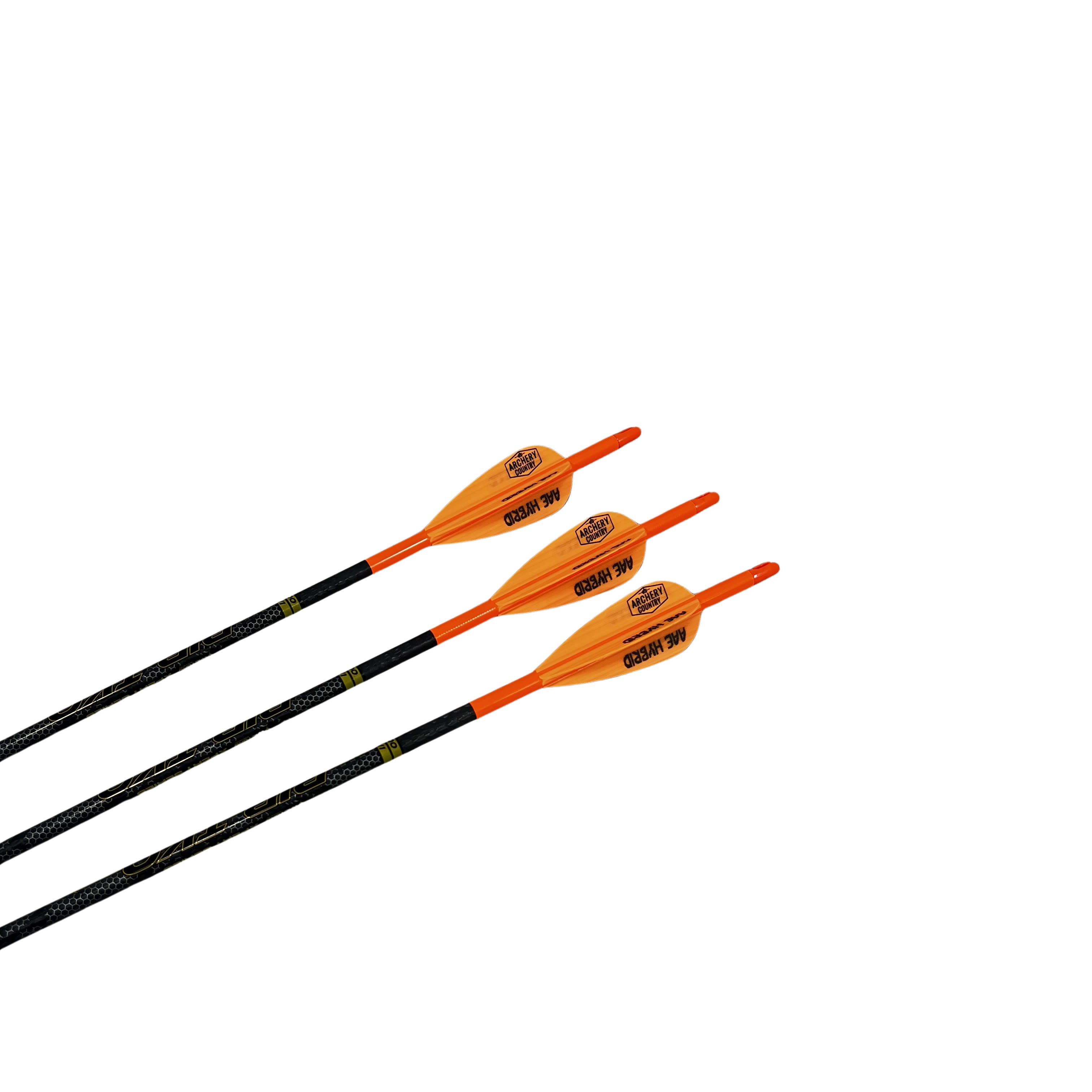 RIP TKO Elite 300 Custom Fletched Arrows Ready To Ship