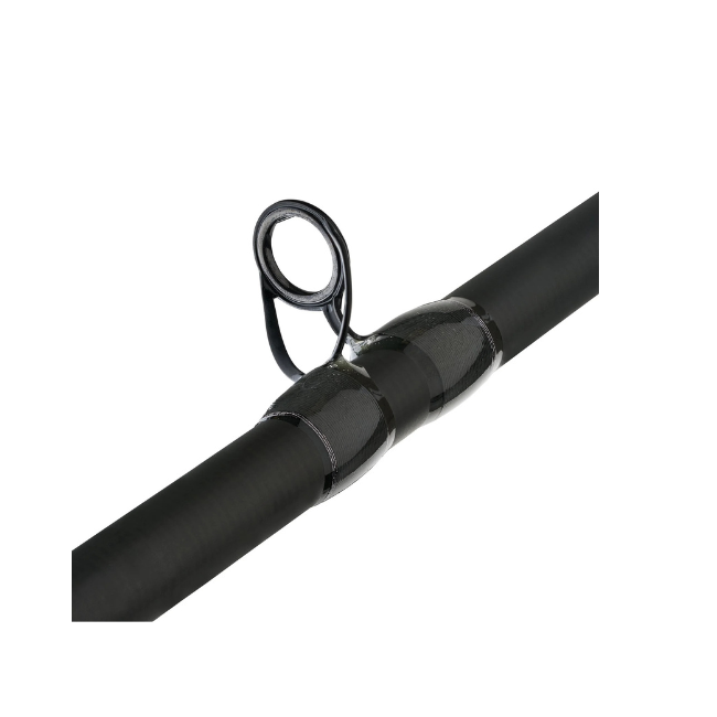 Fenwick Eagle Bass Casting Rod