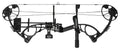 Diamond Edge XT