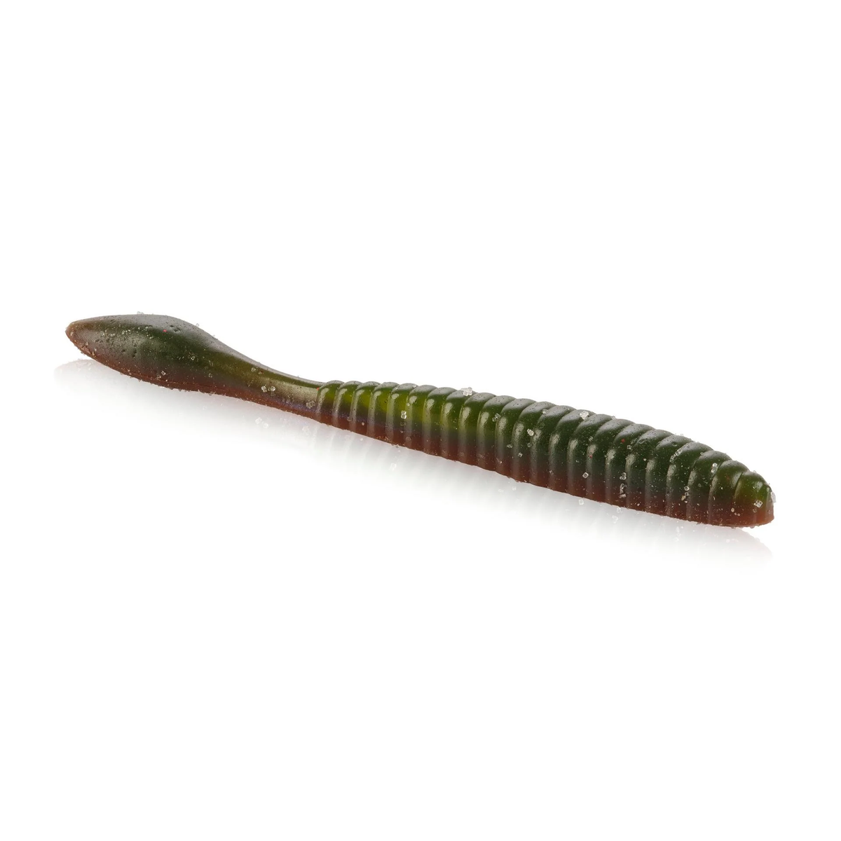 Lab Series Flat Worm