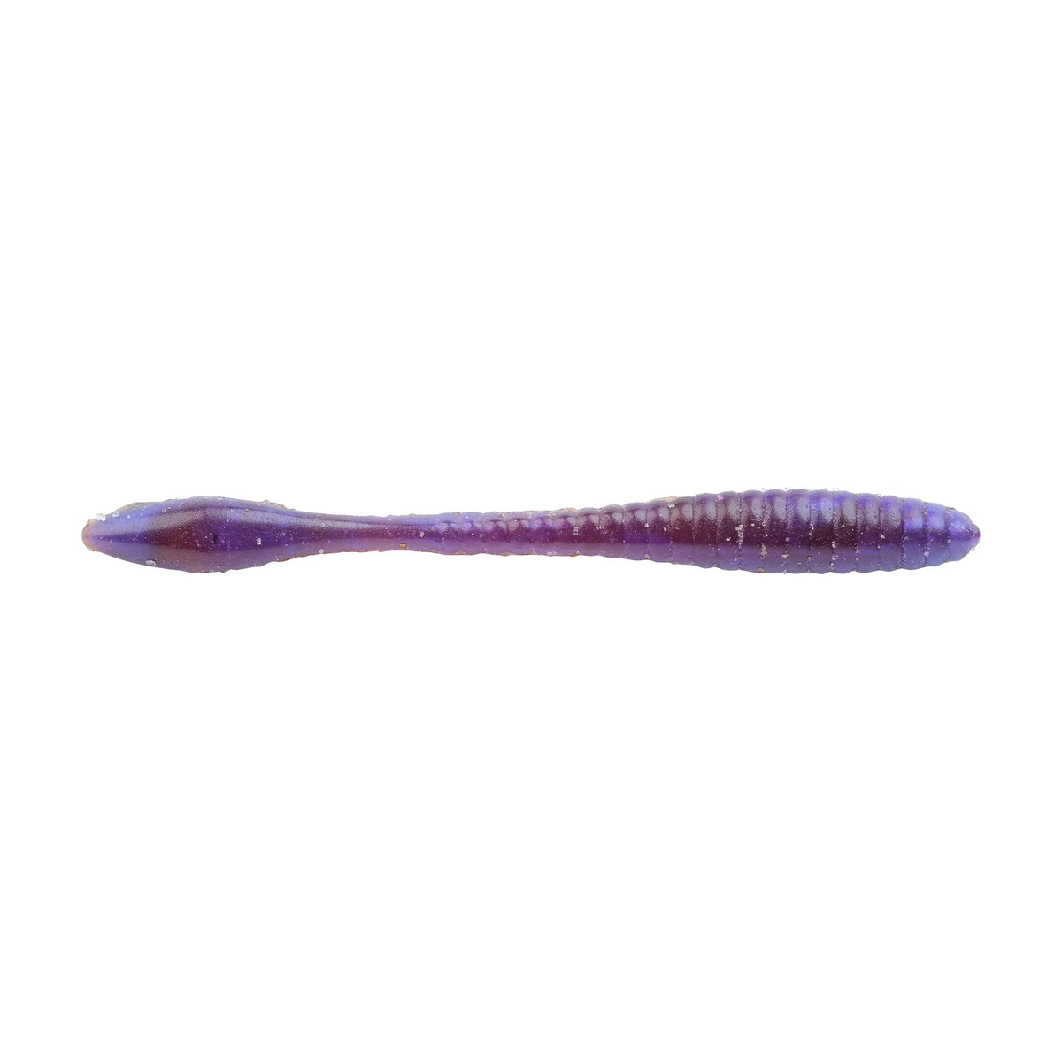 Lab Series Flat Worm