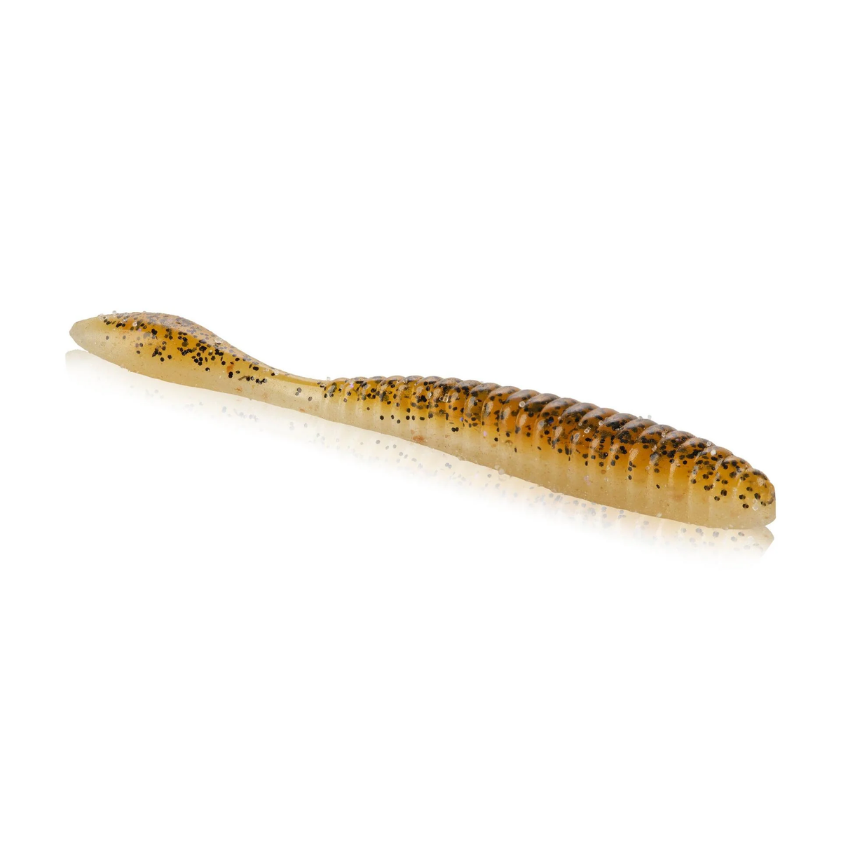 Lab Series Flat Worm